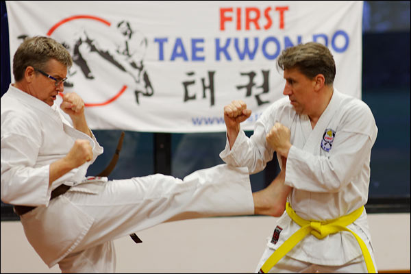 First Tae Kwon Do free sparring, January 2020, Perth