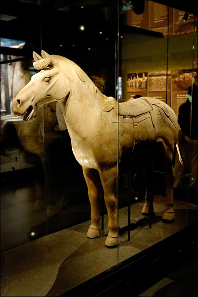 Ancient Chinese terracotta horse statue, July 2025, Perth