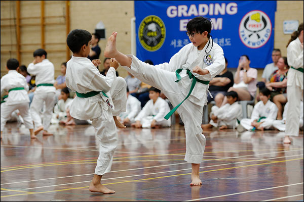First Tae Kwon Do free sparring, December 2023, Perth
